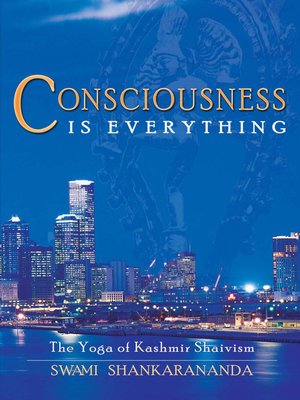 cover image of Consciousness Is Everything